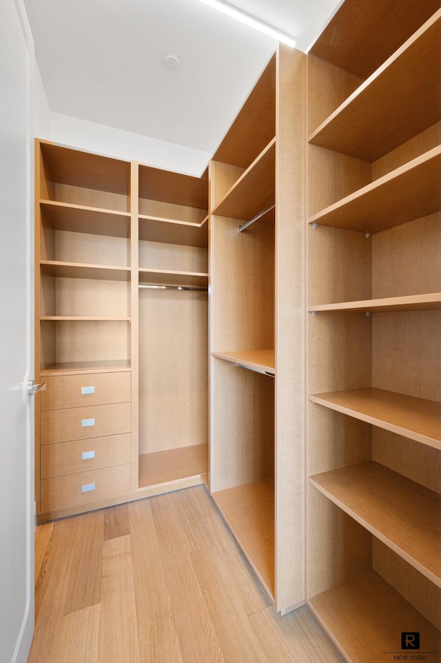 110 Charlton St Unit 20-G, New York City, NY 10014 - walk in closet with wood finished floors