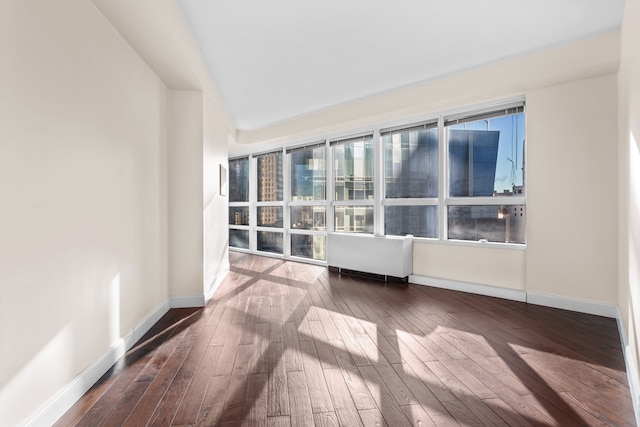 empty room with baseboards and dark wood-type flooring