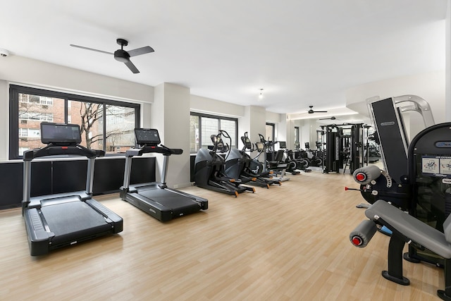 gym with ceiling fan and light wood-style floors