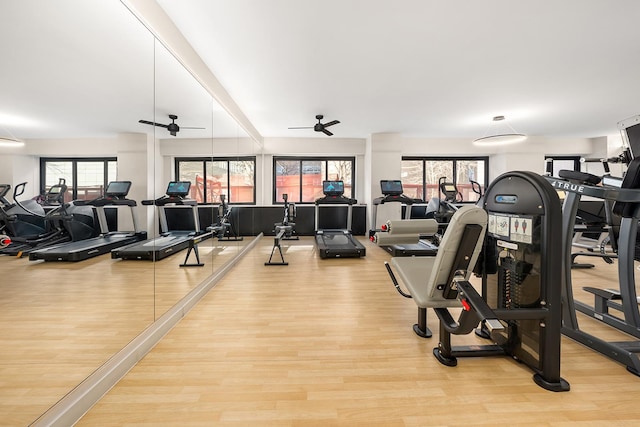 gym with a ceiling fan and light wood-type flooring