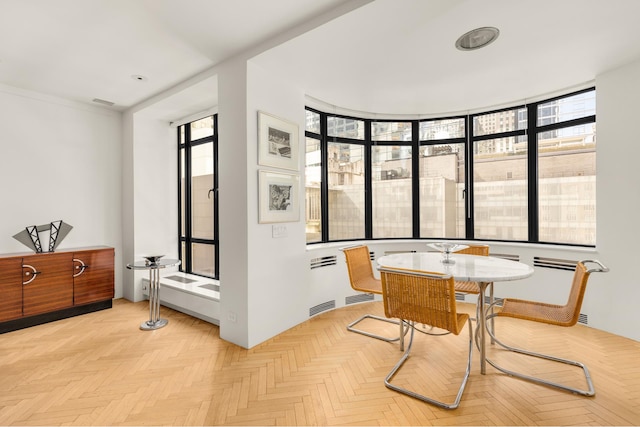 dining area with radiator heating unit