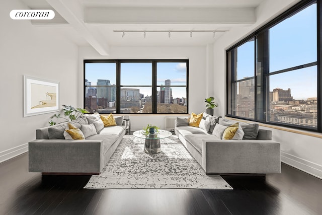 living room featuring a city view, baseboards, visible vents, and dark wood-style flooring