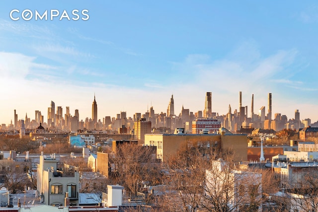 140 Moffat St Unit 4A, New York City, NY 11207 - view of city skyline
