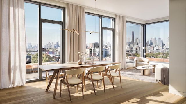 dining room with a city view, plenty of natural light, and light wood-style floors