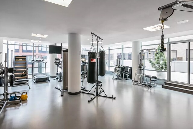 1 York St Unit 4-F, New York City, NY 10013 - gym featuring a skylight