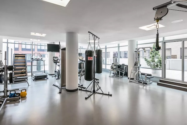 gym featuring a wall of windows, a wealth of natural light, and a skylight