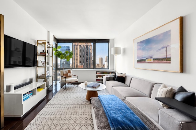 living room with a city view and dark wood finished floors