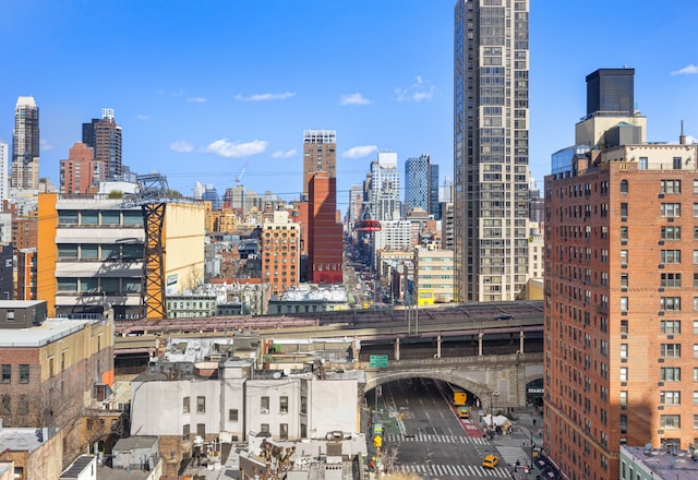 357 E 57th St Unit 16B, New York City, NY 10022 - skyline view