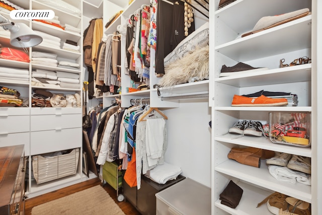 walk in closet with wood finished floors