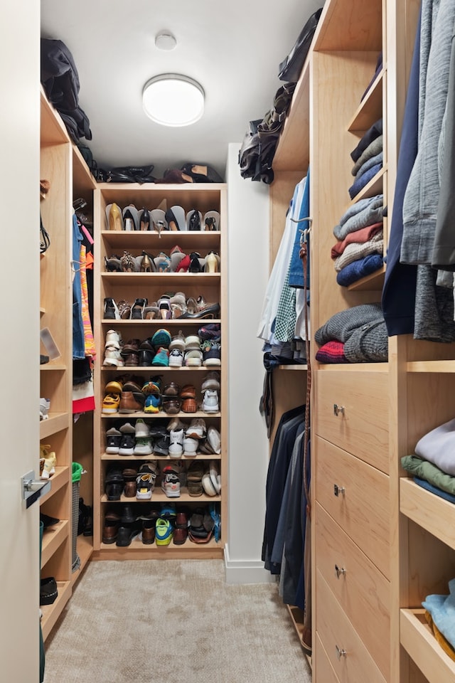 spacious closet featuring carpet