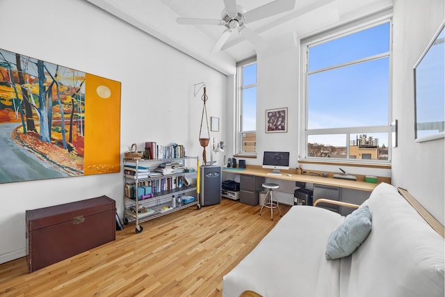 office space with wood finished floors and a ceiling fan