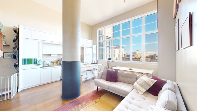 living room with a view of city, light wood-type flooring, and ornate columns