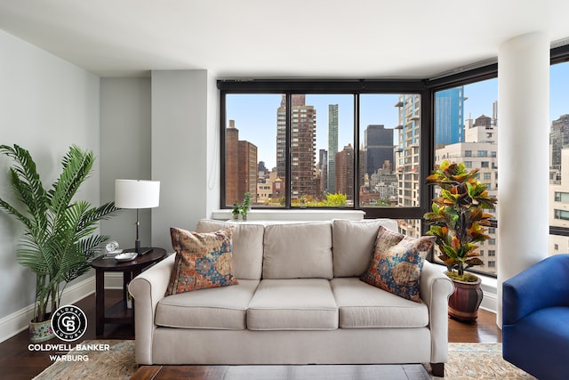 living room featuring a skyline view, wood finished floors, and baseboards
