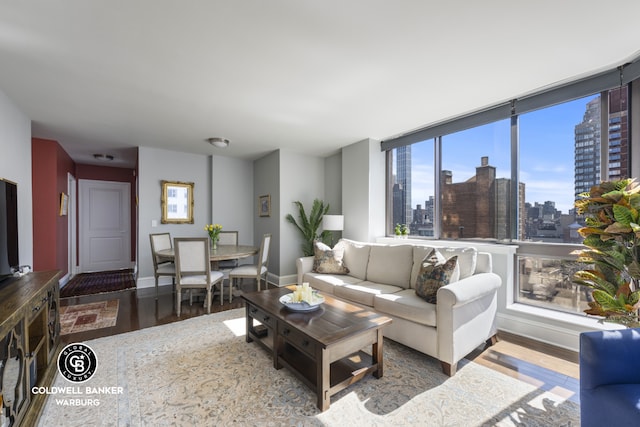 living area featuring a skyline view, wood finished floors, baseboards, and plenty of natural light