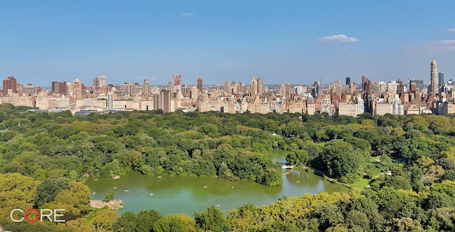 aerial view with a view of city and a water view