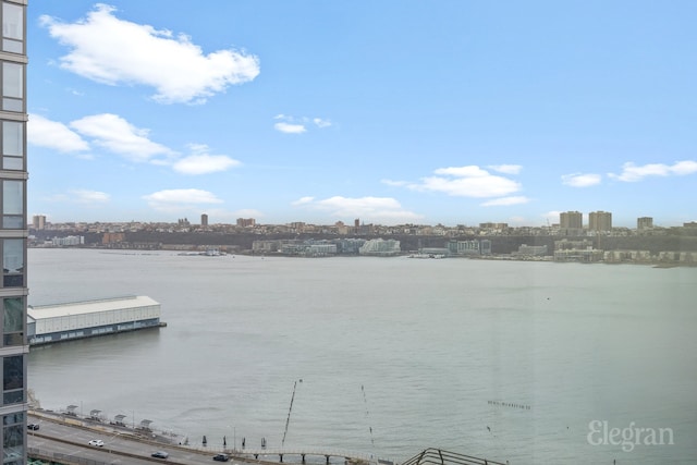 view of water feature featuring a city view