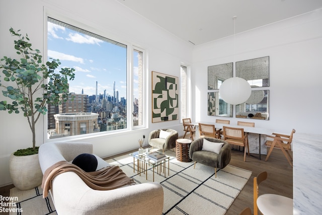 living room featuring a view of city, a healthy amount of sunlight, and wood finished floors