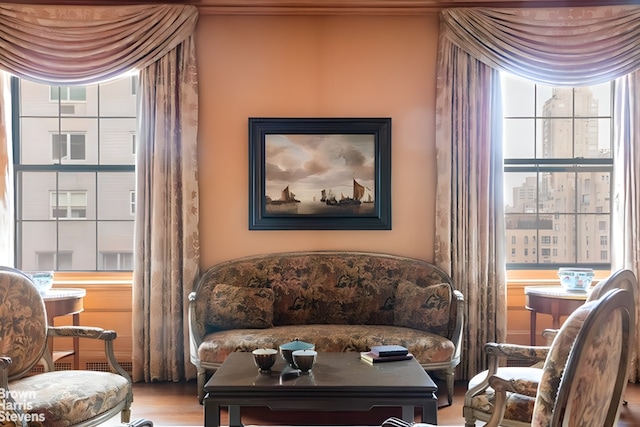 living area with wood finished floors