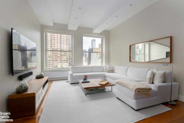 living area featuring beam ceiling, a view of city, and wood finished floors