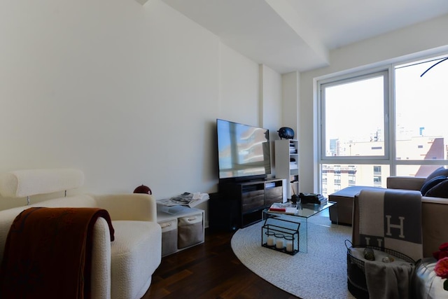 living area with dark wood-style floors