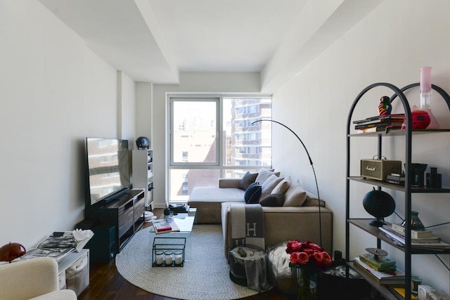 living area with dark wood finished floors