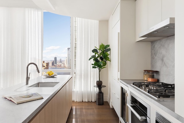 77 Greenwich St Unit 31-A, New York City, NY 10006 - kitchen with stainless steel appliances, a sink, modern cabinets, and under cabinet range hood