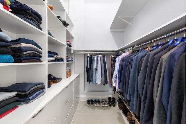view of spacious closet