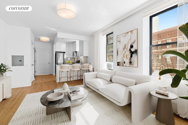 305 W 150th St Unit 501, New York City, NY 10039 - living room featuring electric panel and light wood finished floors