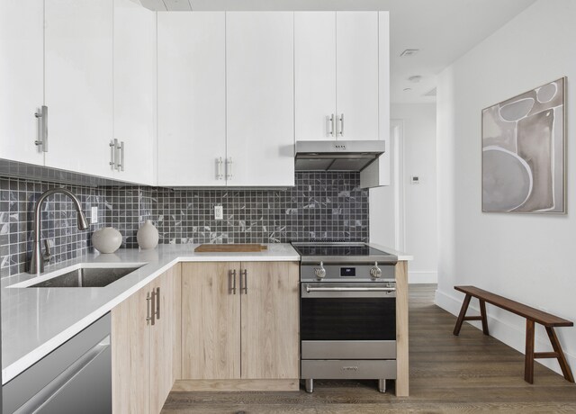 68 N Henry St Unit 2R, New York City, NY 11222 - kitchen featuring appliances with stainless steel finishes, a sink, under cabinet range hood, light countertops, and dark wood finished floors