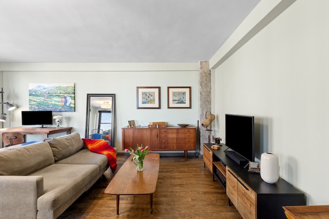 living room with dark wood finished floors