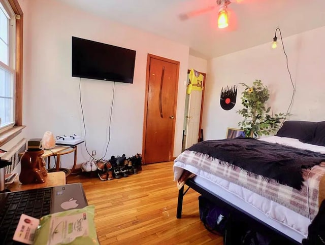 bedroom with light wood-style flooring, radiator, and ceiling fan