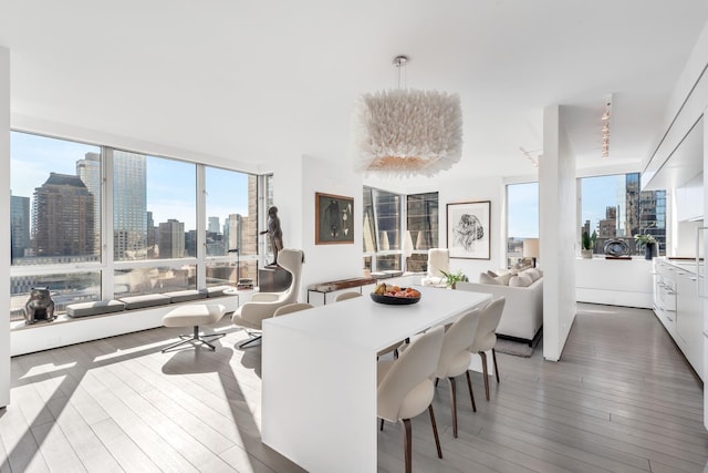 dining room with a city view and hardwood / wood-style floors