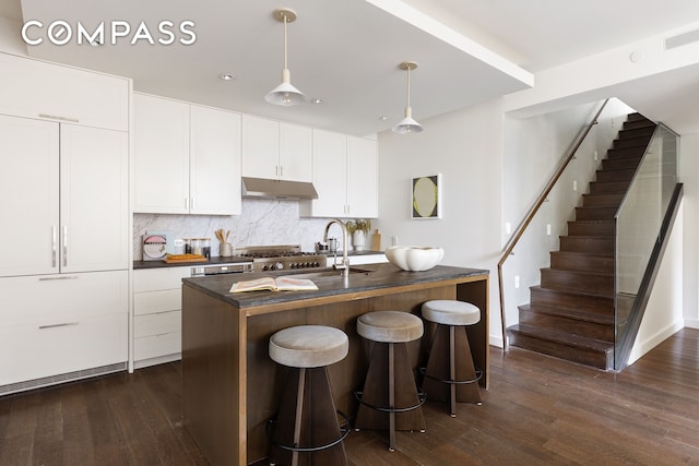 kitchen featuring tasteful backsplash, dark wood-style flooring, under cabinet range hood, and a sink