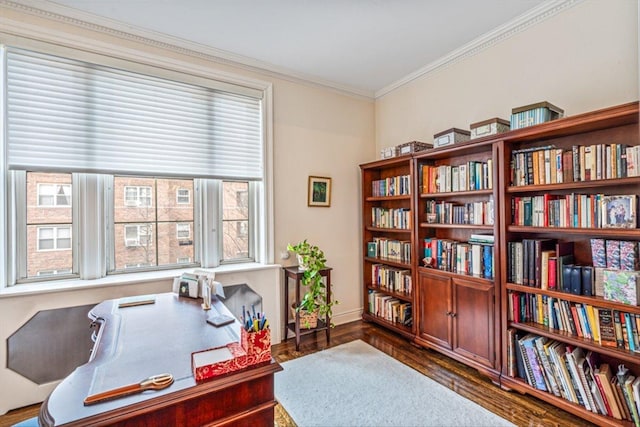 office area featuring wood finished floors, baseboards, and ornamental molding