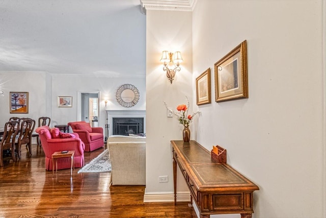 living area with baseboards, dark wood finished floors, and a fireplace