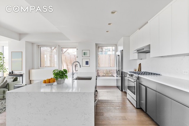 kitchen with appliances with stainless steel finishes, a sink, light wood finished floors, wall chimney exhaust hood, and modern cabinets