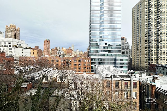 235 E 73rd St Unit 8D, New York City, NY 10021 - view of city skyline