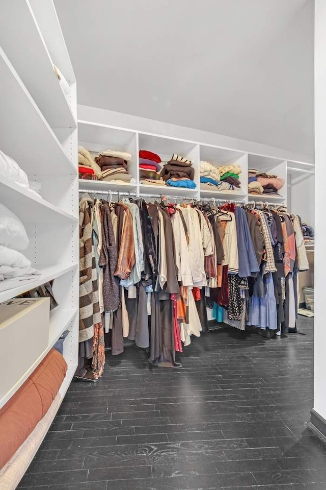 spacious closet featuring wood finished floors