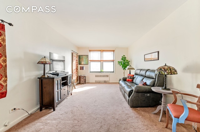 living area featuring radiator, baseboards, and carpet flooring