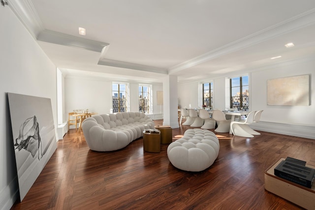 living room with wood finished floors, plenty of natural light, a raised ceiling, and ornamental molding