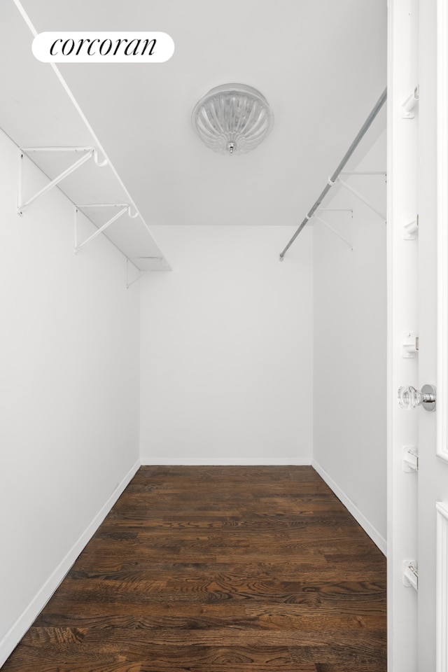 spacious closet featuring wood finished floors