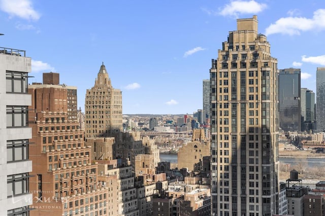 255 E 49th St Unit 31Abf, New York City, NY 10022 - skyline view