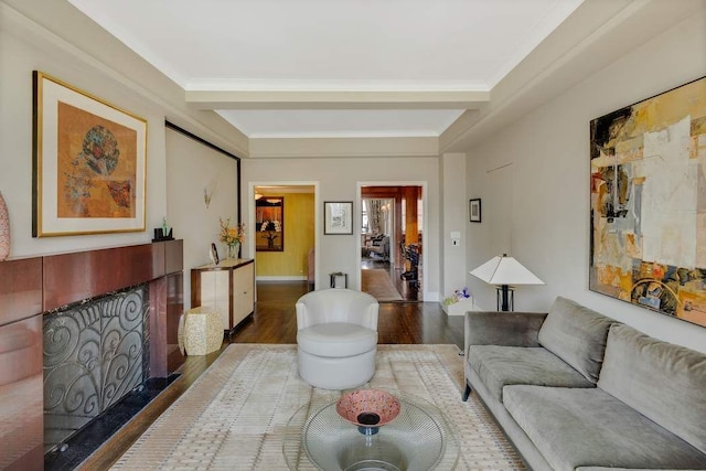 living room featuring baseboards, wood finished floors, and a fireplace