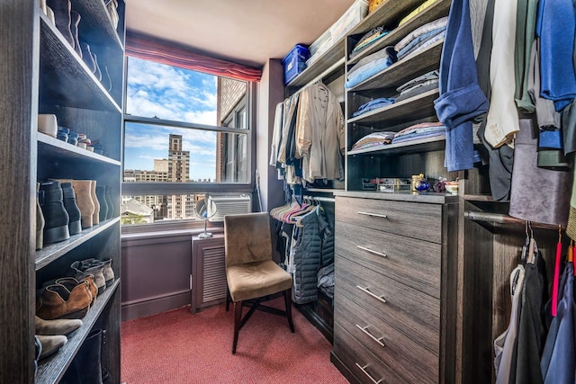 spacious closet featuring dark carpet