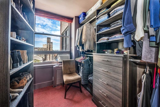 walk in closet featuring dark colored carpet