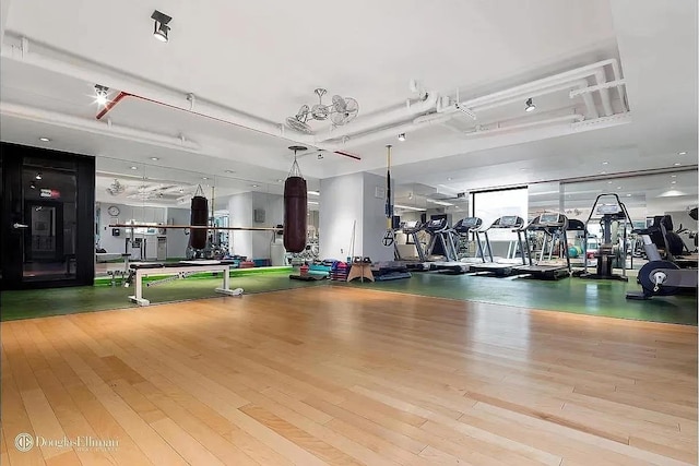 exercise room featuring a raised ceiling and wood finished floors