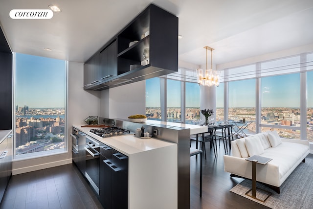 252 S St Unit 10H, New York City, NY 10002 - kitchen featuring modern cabinets, stainless steel appliances, healthy amount of natural light, dark wood-type flooring, and expansive windows