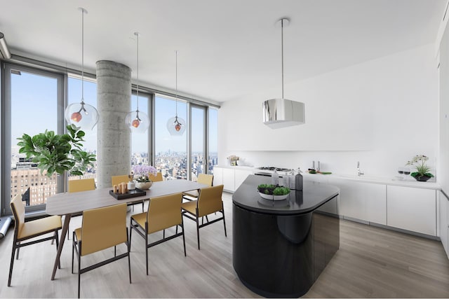 kitchen featuring modern cabinets, a kitchen island, floor to ceiling windows, light wood-style floors, and white cabinets