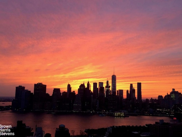 75 Henry St Unit 30K, New York City, NY 11201 - skyline view featuring a large body of water
