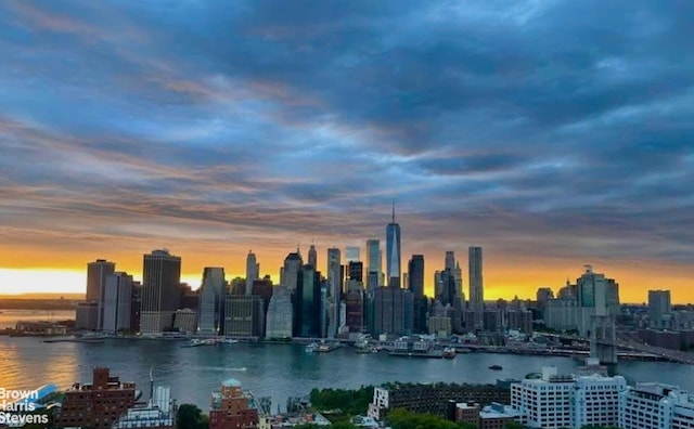 75 Henry St Unit 30K, New York City, NY 11201 - view of city skyline with a large body of water